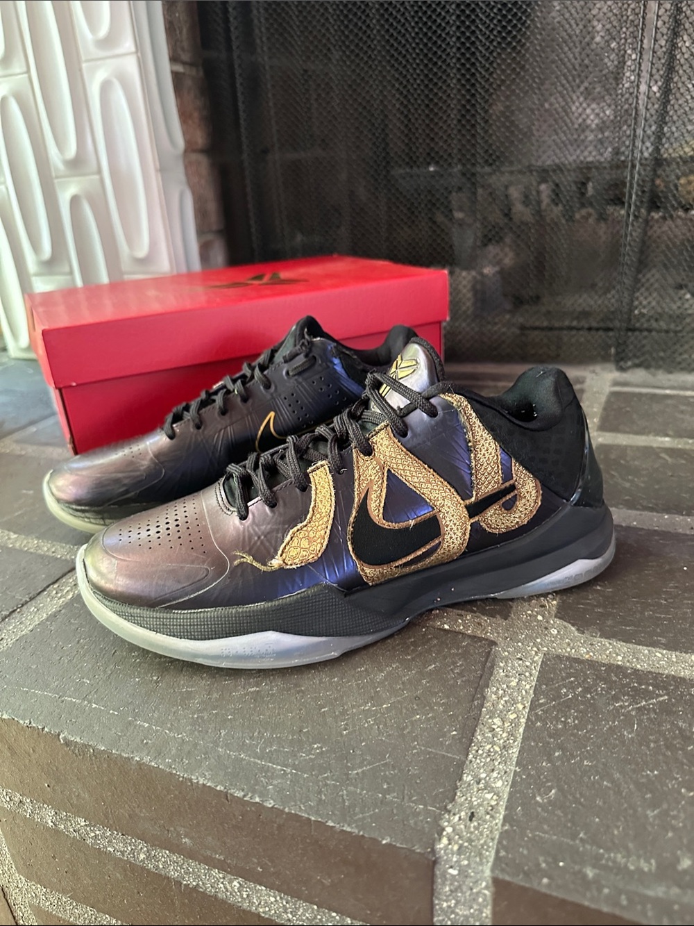 Nike Kobe V 5 Protro Year of the Mambas
